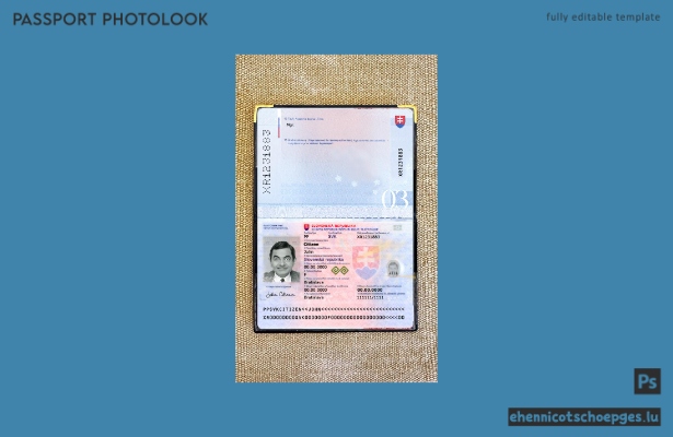 Vorschau des Passfotos für die Slowakei ab 2024